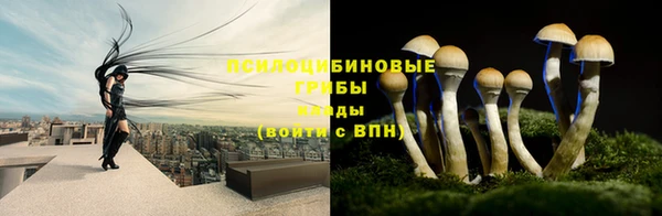 дживик Кулебаки