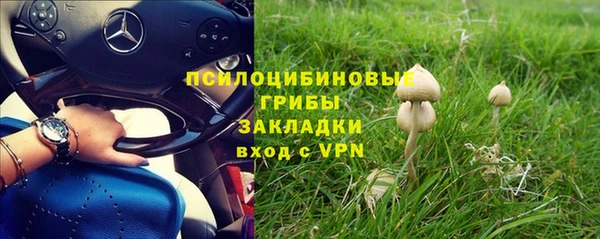 каннабис Корсаков